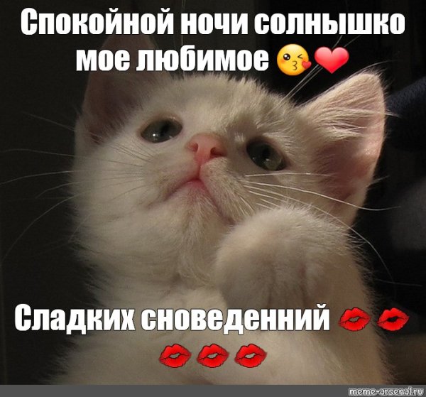 Спокойной ночи солнышко моё