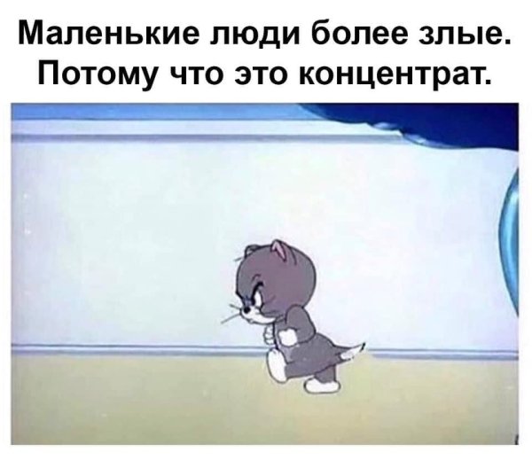 Кот из том и Джерри