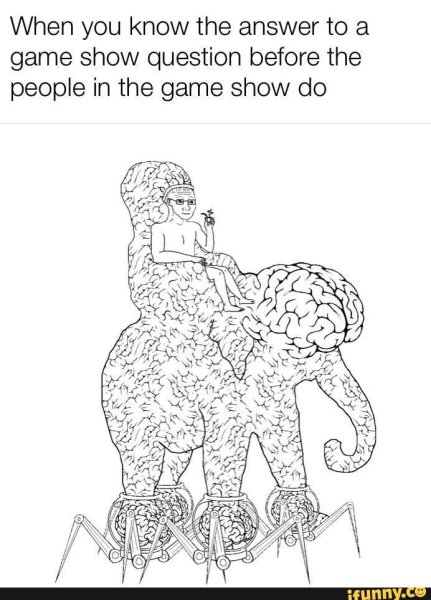 Слон из мозгов