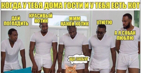 Пять негров и диван