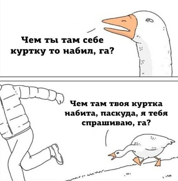 Гусь мемы