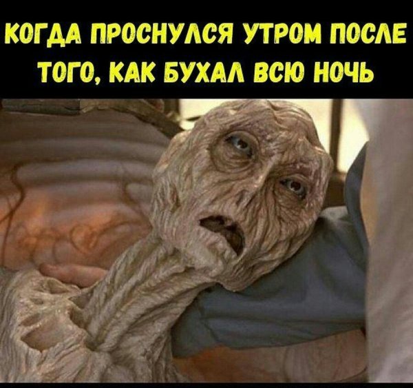 Мемы про утро после пьянки