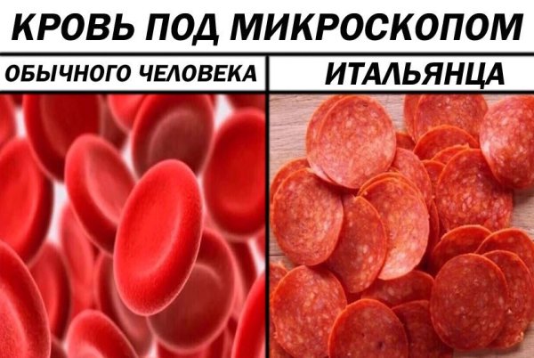 Эритроциты в крови под микроскопом