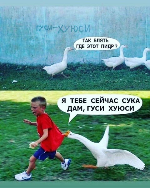 Смешной Гусь