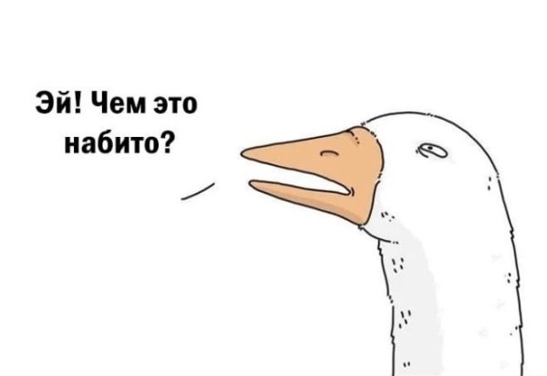 Ты чем куртку набил