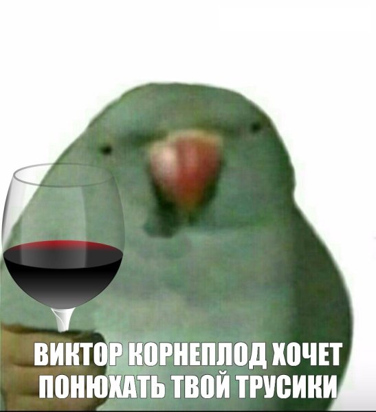 Попугай отдавай трусы