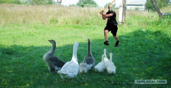 Смешной Гусь