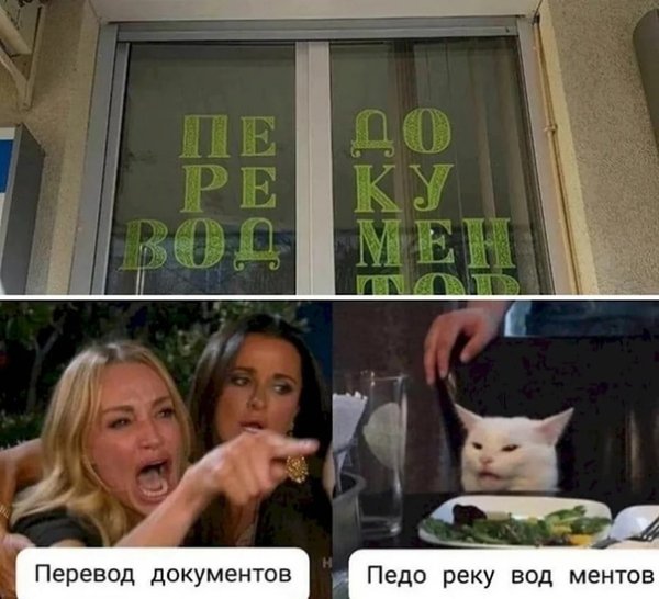 Мем с котом и девушками