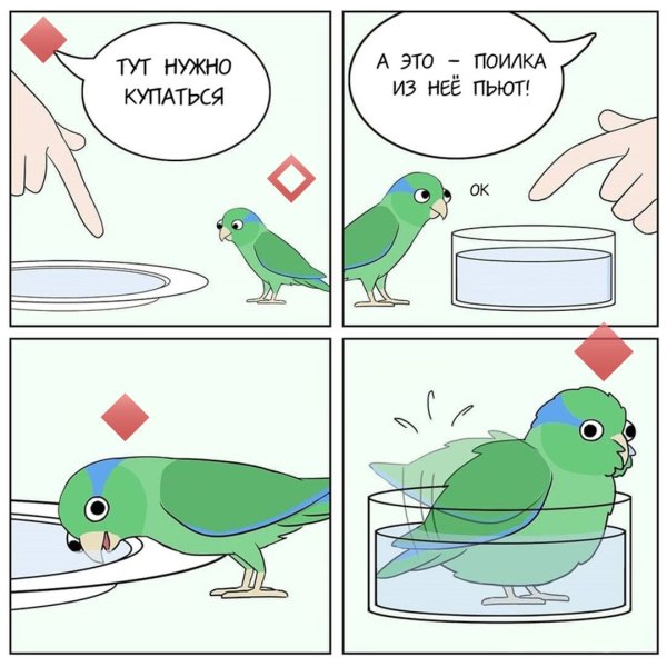 Комиксы про попугаев