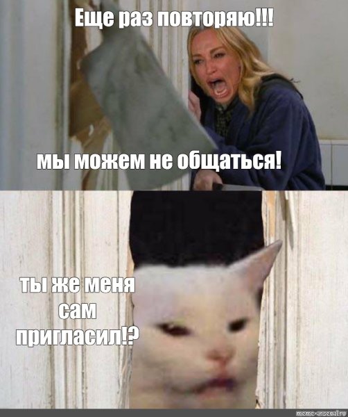 Женщина орет на кота