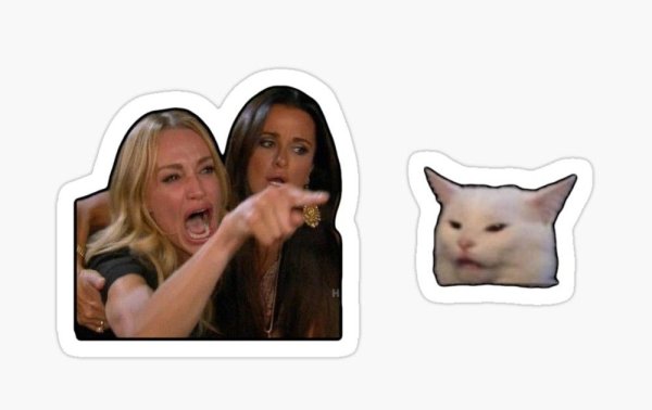 Мем кот и две девушки