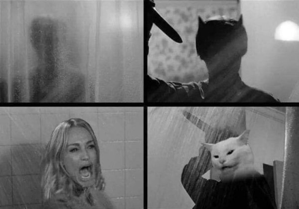 Кот и кричащая женщина