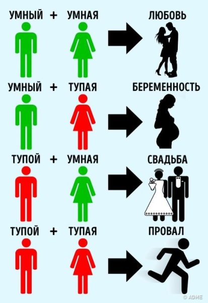 Умный и тупой