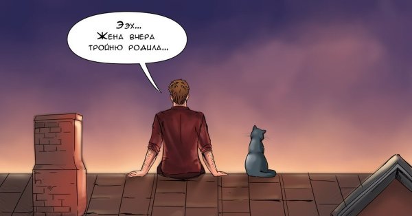 Кот раздает