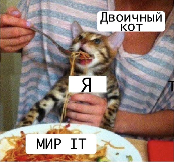 Мемы про проблемы