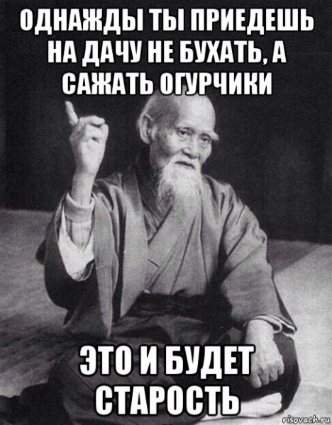 Однажды ты приедешь на дачу не бухать