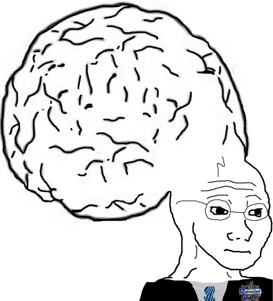 Мозг Мем