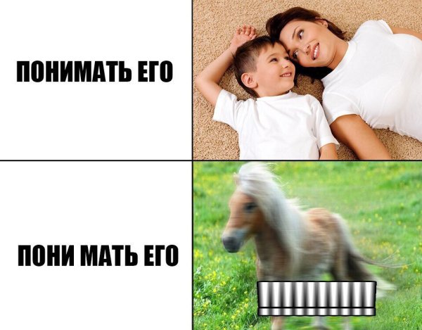 Понимать пони сын