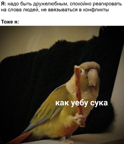 Орущий попугай Мем
