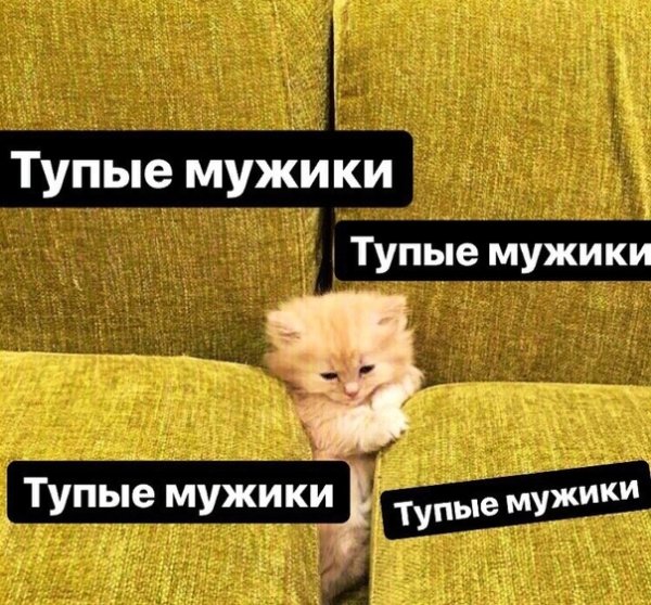 Мемы про тупых мужчин