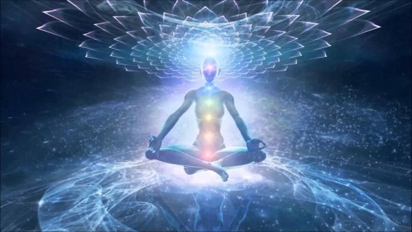 Человек высший разум