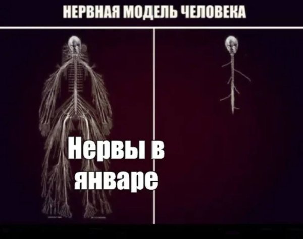 Моя нервная система до и после