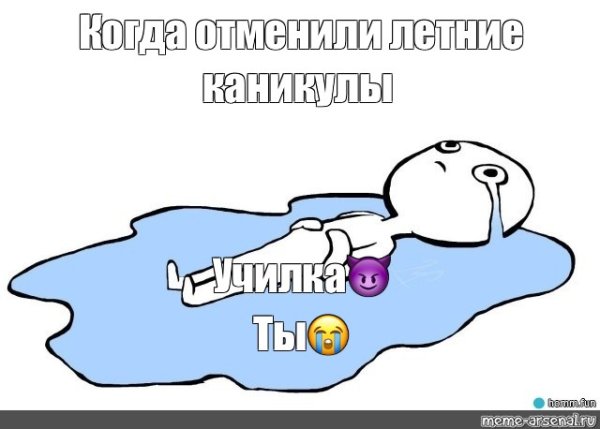 Мем в луже слез