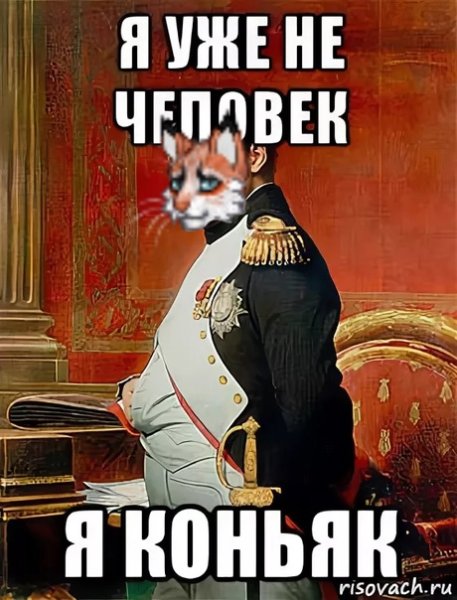 Наполеон Мем