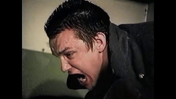 Владимир Епифанцев Слоник