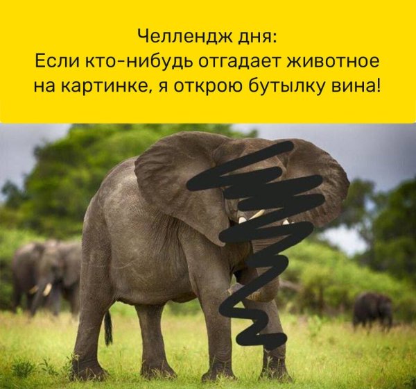 Если вы угадаете что за животное