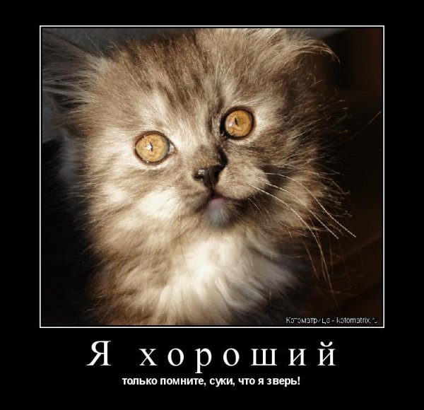 Я зверь Мем