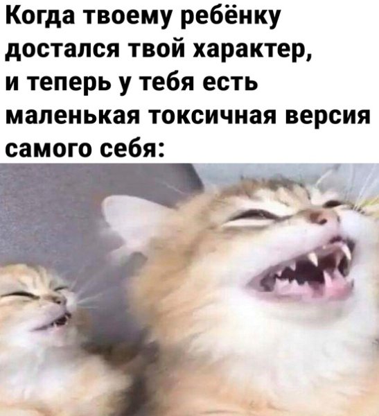 Родила токсичную копию