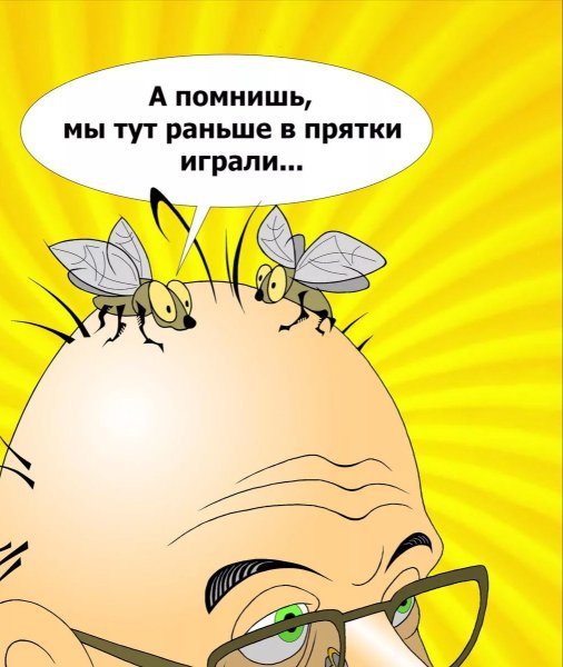 Лысина прикол