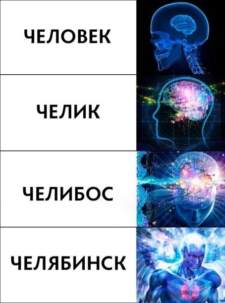 Мозг Мем