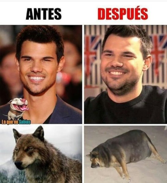 Тейлор Лотнер 2019