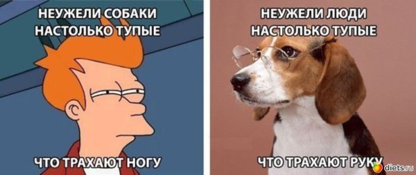 Тупые смешные шутки