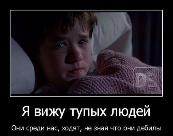 Приколы про тупых людей