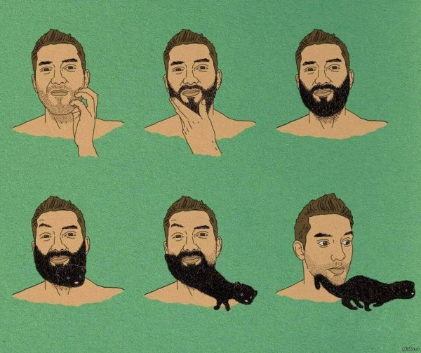 Прикольные бородки