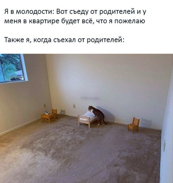 Съехал от родителей Мем