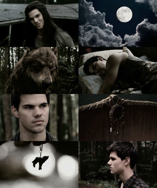 Сумерки оборотень Джейкоб