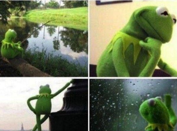 Лягушка в ожидании