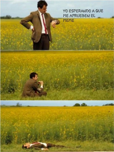 Мистер Бин ждет в поле