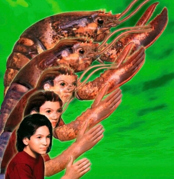 Аниморфы сериал