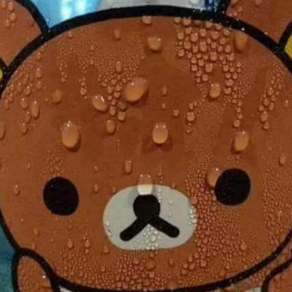 Медведь вспотел Мем