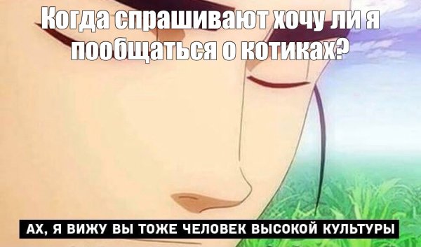Вижу вы человек высокой культуры Мем