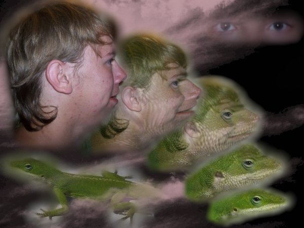 Мем с превращением в попугая