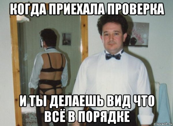 Когда приехала проверка