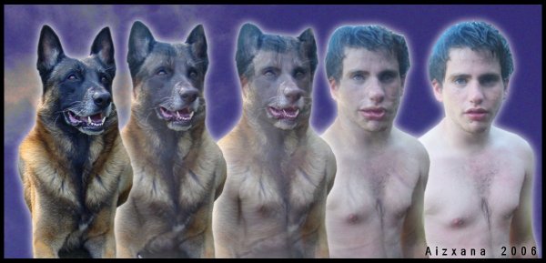 Люди меняются Мем собака