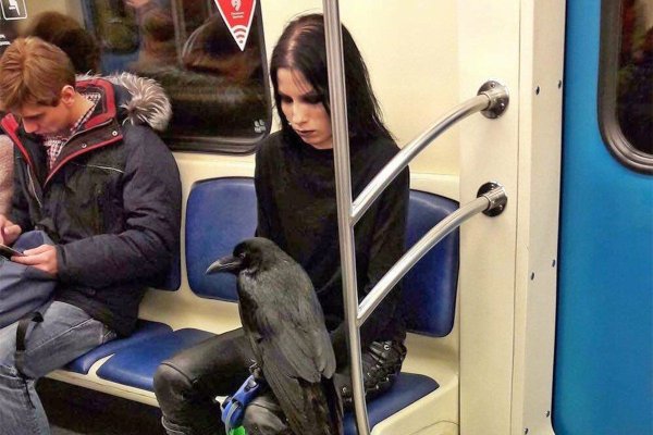 Девушка сидит в метро