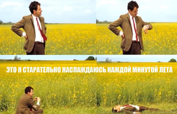 Мистер Бин ждет в поле